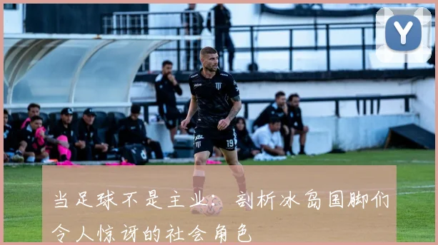 当足球不是主业：剖析冰岛国脚们令人惊讶的社会角色